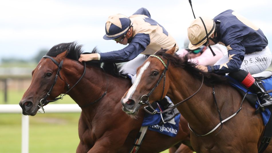 'He should have a good chance at a track he’s won at before' - analysis ...