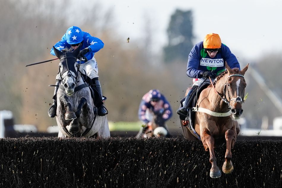 Sale Races Live Grade 2 winner No Questions Asked headlines Goffs October HIT and ...