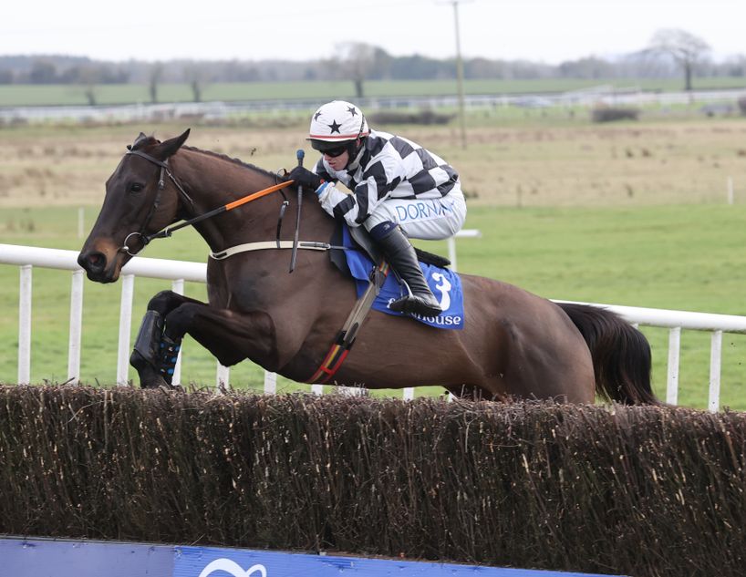 NICENESS ELVIS horse deer riders