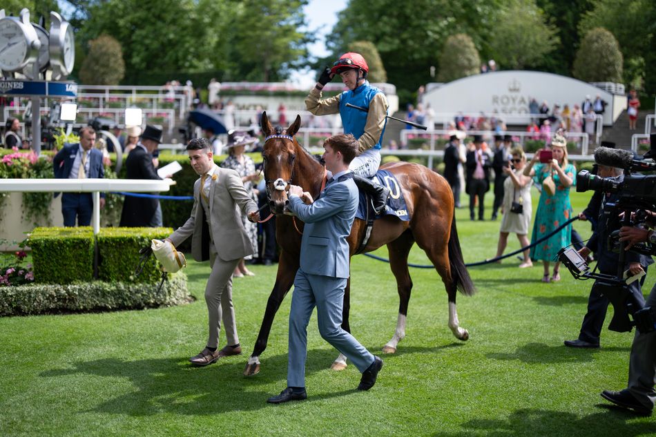 'He has every chance of being a success' - Norfolk Stakes winner ...