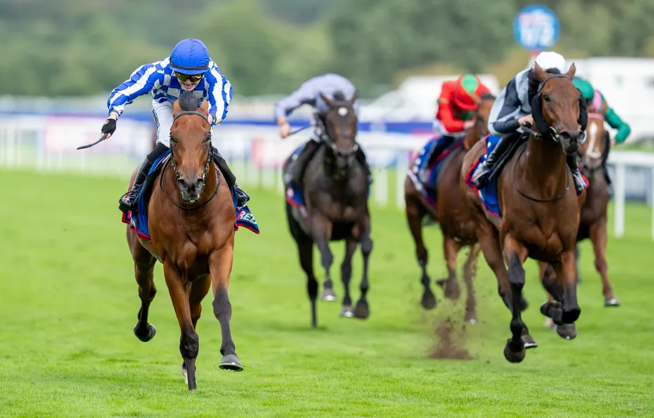 From a rating of 14 to Classic glory: the 'crazy' decision that set Highwayman on the path to Leger success