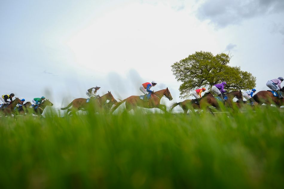 'Change and unity is needed' - Taunton the latest track to quit the Racecourse Association