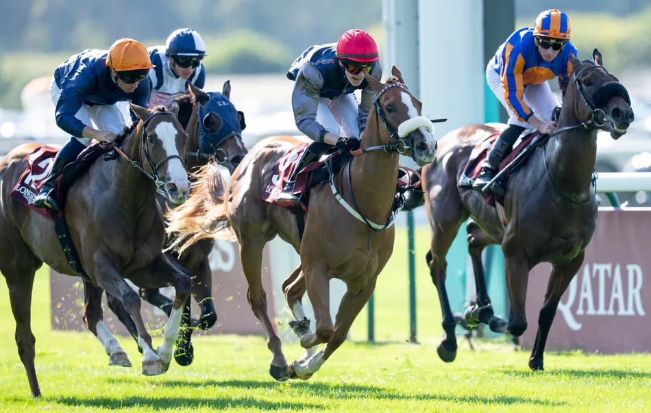 'A great prospect for the top sprints' - Abbaye winner Miss Yechance supplemented for the Keeneland Championship Sale