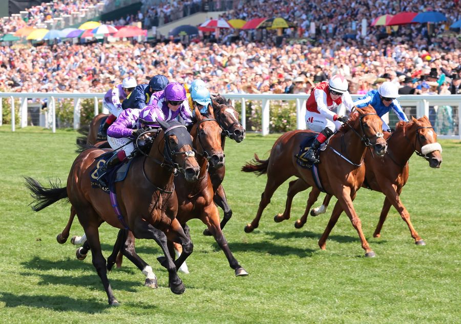 Shaquille works a charm for his sire in the Commonwealth Cup | Racing Post