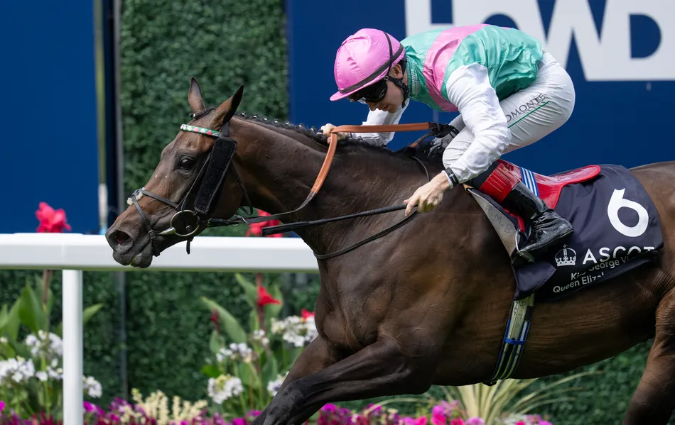 York's Ebor festival next for King George heroine Kalpana . . . and the Arc is 'very much still on the agenda'