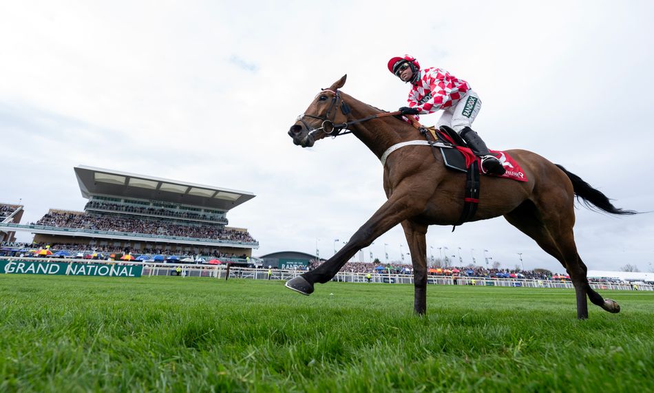 Jango Baie ruled out of King George - but Lulamba to step into the breach as Nicky Henderson makes plans for jumps stars