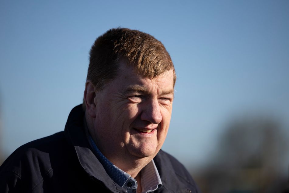 Shark Hanlon set to run two as new track in Wales welcomes Irish runners to International meeting