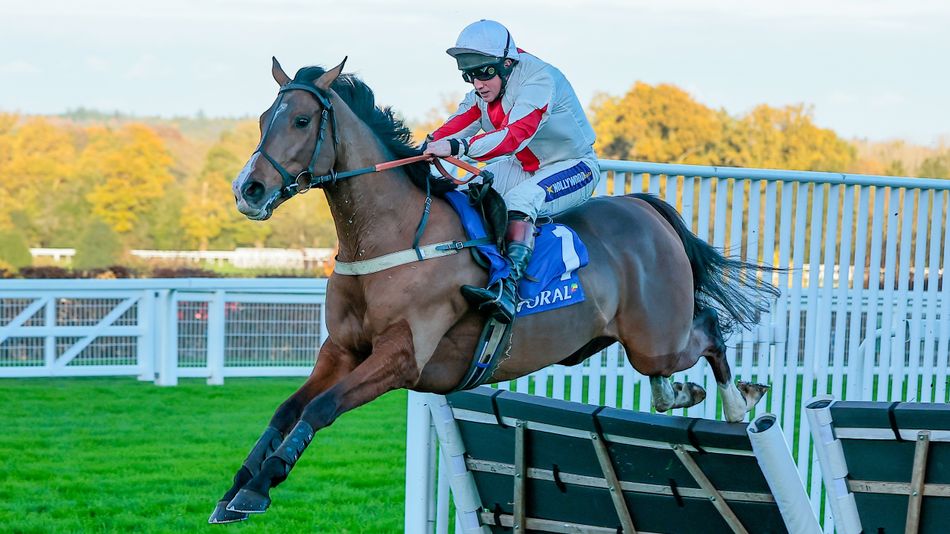 Goshen team on hunt for replacement rider after Jamie Moore breaks ribs ...