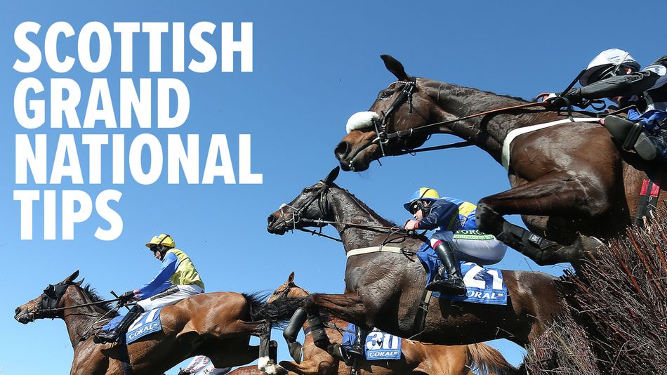 Scottish Grand National predictions & tips: why this horse can win