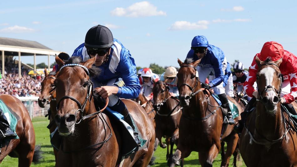 'We've had this day in mind for him for a while' - analysis, key quotes and our each-way double for the John Smith's Cup and Bunbury Cup