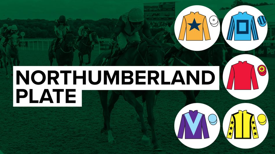 2026 Northumberland Plate tips: the runners, the odds, the verdict