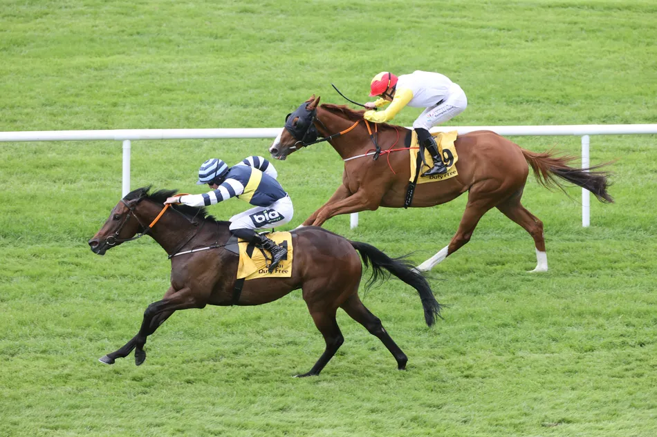 Course-and-distance winner may be the one to side with in an ultra-competitive Irish Cambridgeshire full of unexposed types