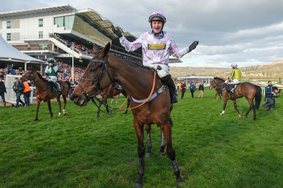 Confirmed runners and riders for the Champion Hurdle, Supreme Novices' Hurdle and more on day one of the Cheltenham Festival