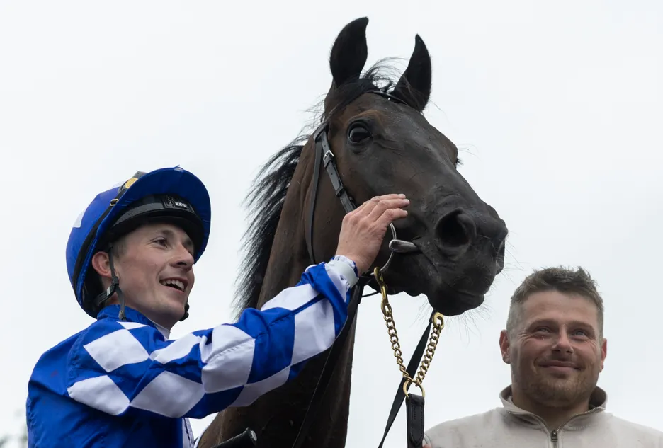 A 16-day whip ban and a Punchestown winner - Paddy Harnett keeping up hot pursuit of apprentice title after rollercoaster week