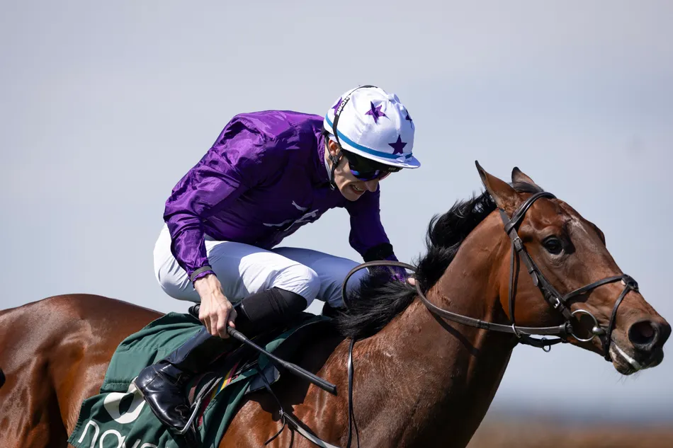 Rebel Racing becomes latest outfit to partner with Amo Racing after buying into Group 2-placed juvenile