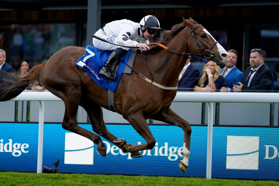 'He loves the track' - which of those with a strong course record will ...