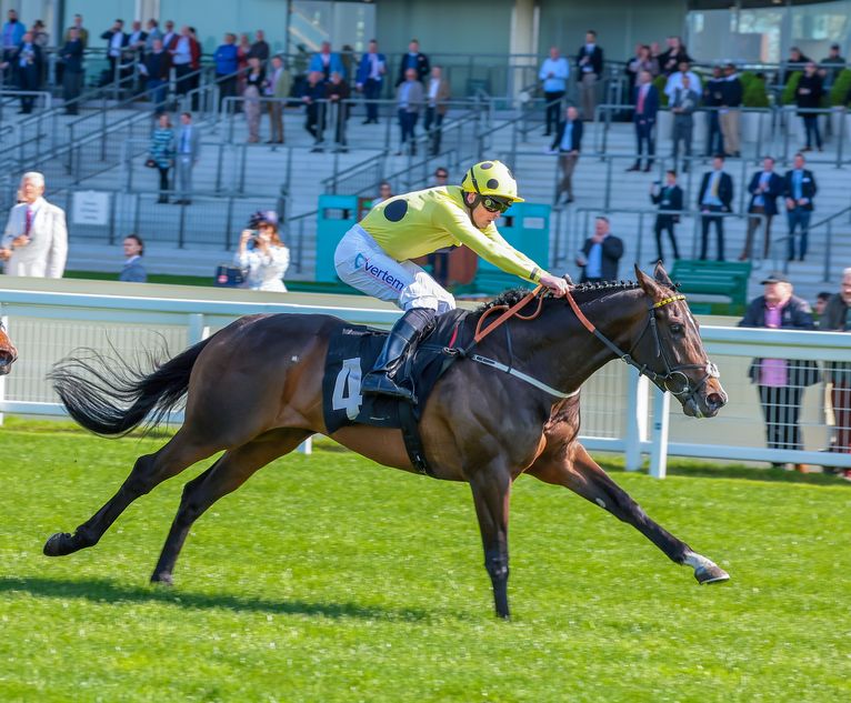 'He's still a very good horse' - Burke says don't discount 33-1 shot ...