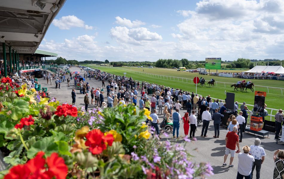 Horse who landed mammoth Wolverhampton gamble narrowly follows up - after Alpinista's daughter is well beaten in opener